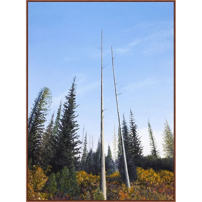 Among the Falling Trees