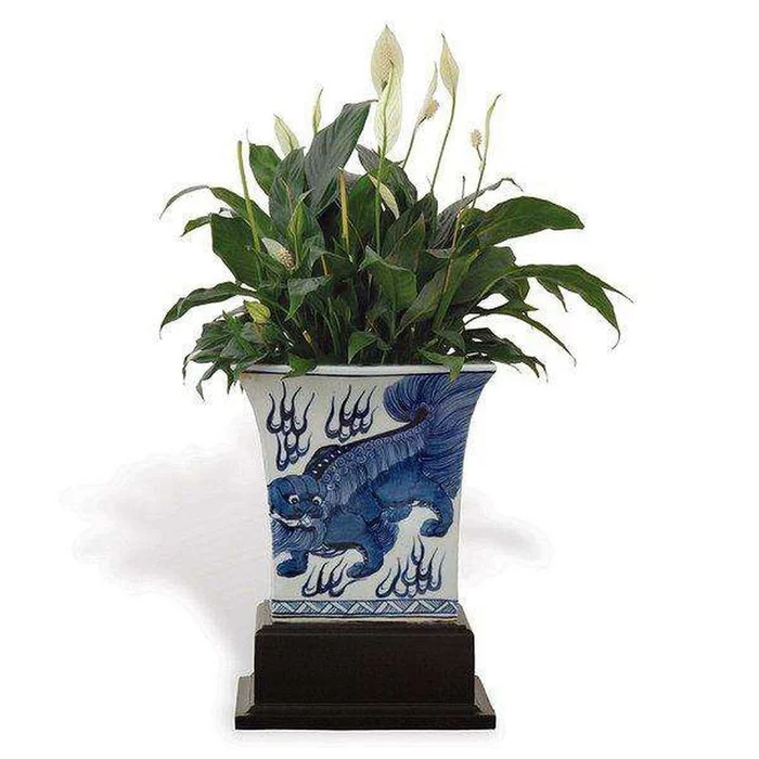 Chow Blue Square Planter with Stand