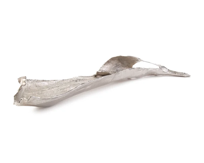 Colossal Curling Leaf