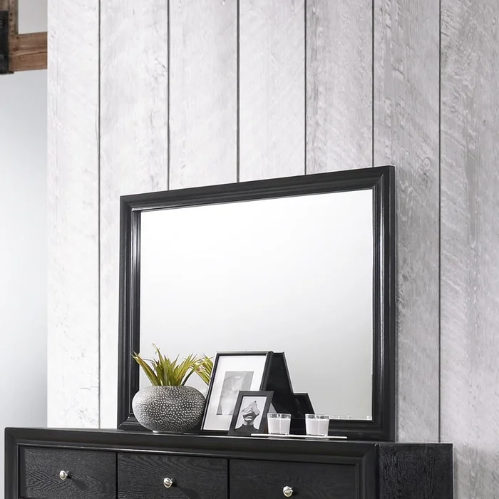Diamond Modern Furniture CM Regata Dresser Mirror B4670-11