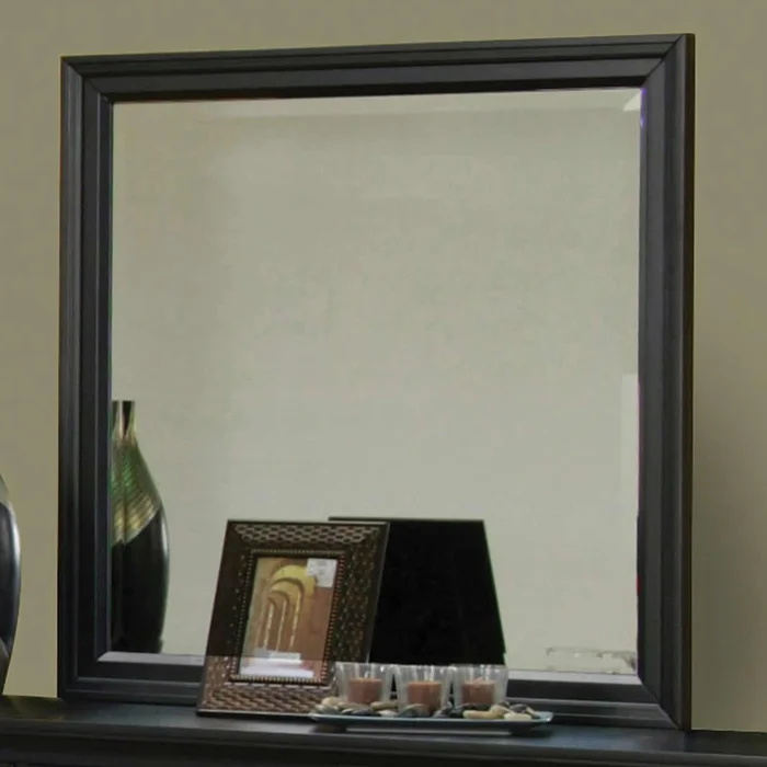 Diamond Modern Furniture COA Sandy Beach Dresser Mirror 201324