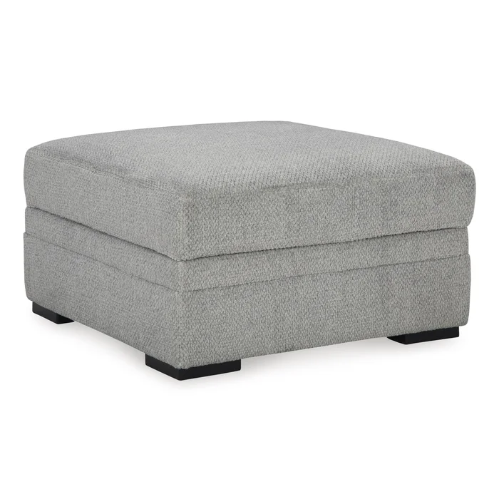 Diamond Modern Furniture Exclusive Design Casselbury Fabric Storage Ottoman 5290611