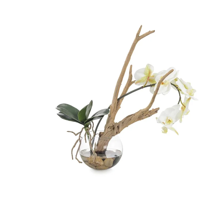 Ghost Orchid 19″H x 15″W x 12″D