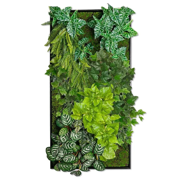 Green Wall – Photos Mix