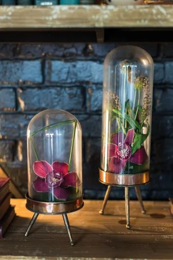 Historic Glass & Golden Cloche Stand/ Terrarium -Set Of 2 By Accent Decor- Gold – Glass, Metal – 79191