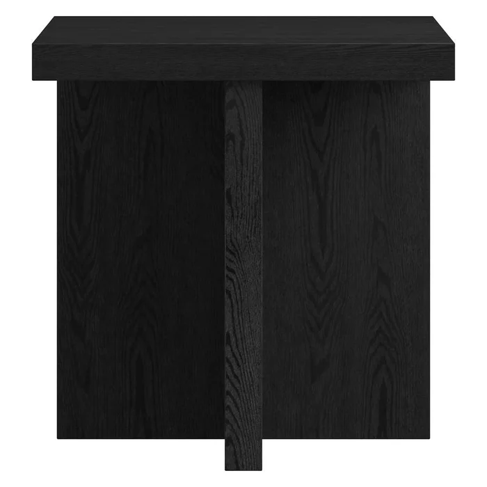 Hudson & Canal – Elna 22in Wide Square Side Table in Black Grain – ST2029