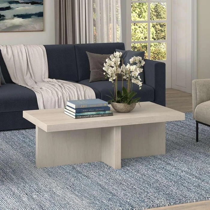 Hudson & Canal – Elna 44in Wide Rectangular Coffee Table in Alder White – CT1905