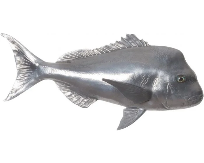 Phillips Collection Australian Snapper Fish, Polished Aluminum (Dropshippable)