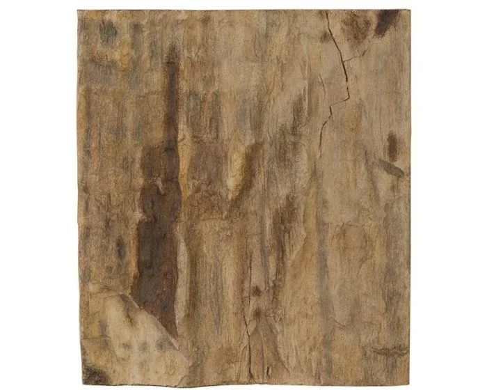 Phillips Collection Cast Petrified Wood Wall Tile, Resin, Square (Dropshippable)