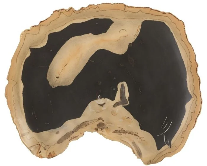 Phillips Collection Cast Petrified Wood Wall Tile, Resin, Thin (Dropshippable)