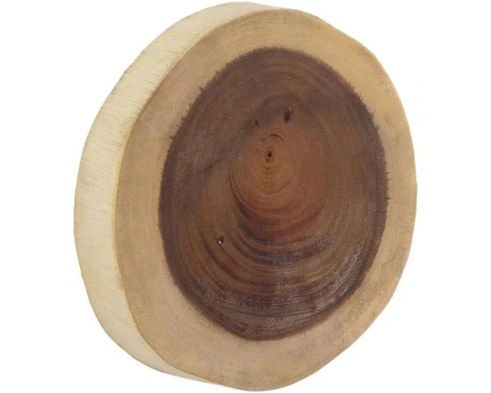 Phillips Collection Chuleta Wall Tile, Chamcha Wood, Small (Dropshippable)