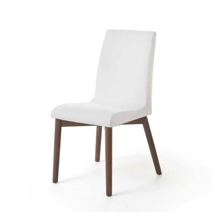 Scandinavian Modern Dining Chair Set