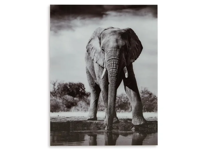 Signature Design by Ashley – Glinyard Wall Art in Black/White – A8000421