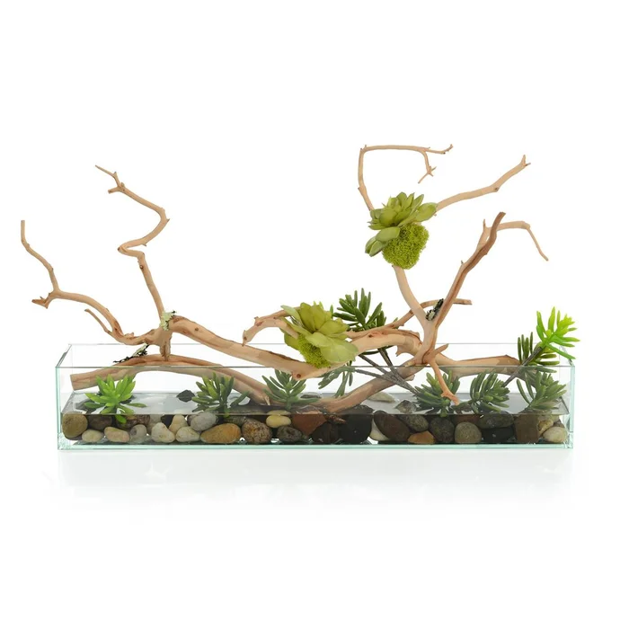 Succulent Tree 15″H X 30″W X 15″D