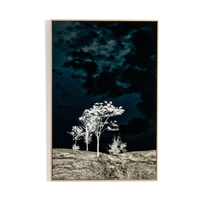 There’s A Lack Of Color Here By Getty Images