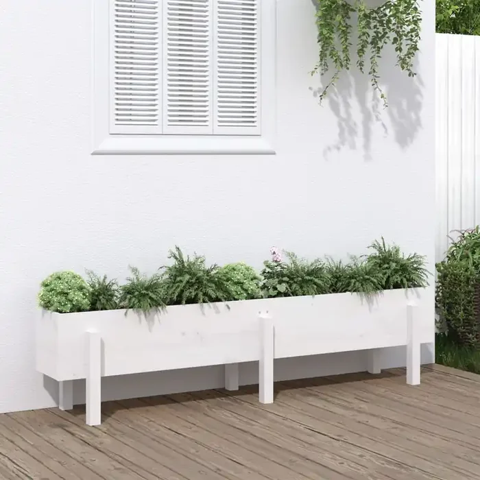 vidaXL Garden Raised Bed White 160x30x38 cm Solid Wood Pine