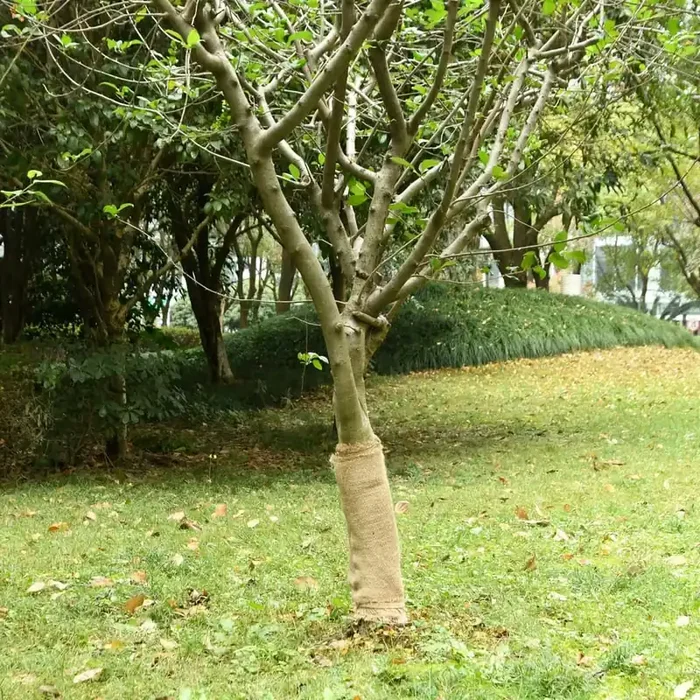 vidaXL Jute Roll 0.5×5 m 100% Jute 200 gsm