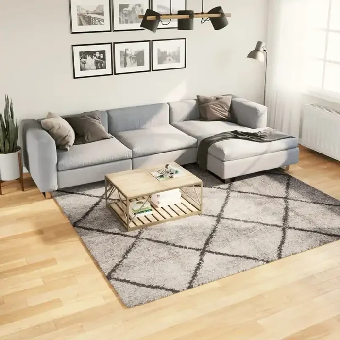 vidaXL Shaggy Rug PAMPLONA High Pile Modern Beige and Anthracite 240×240 cm